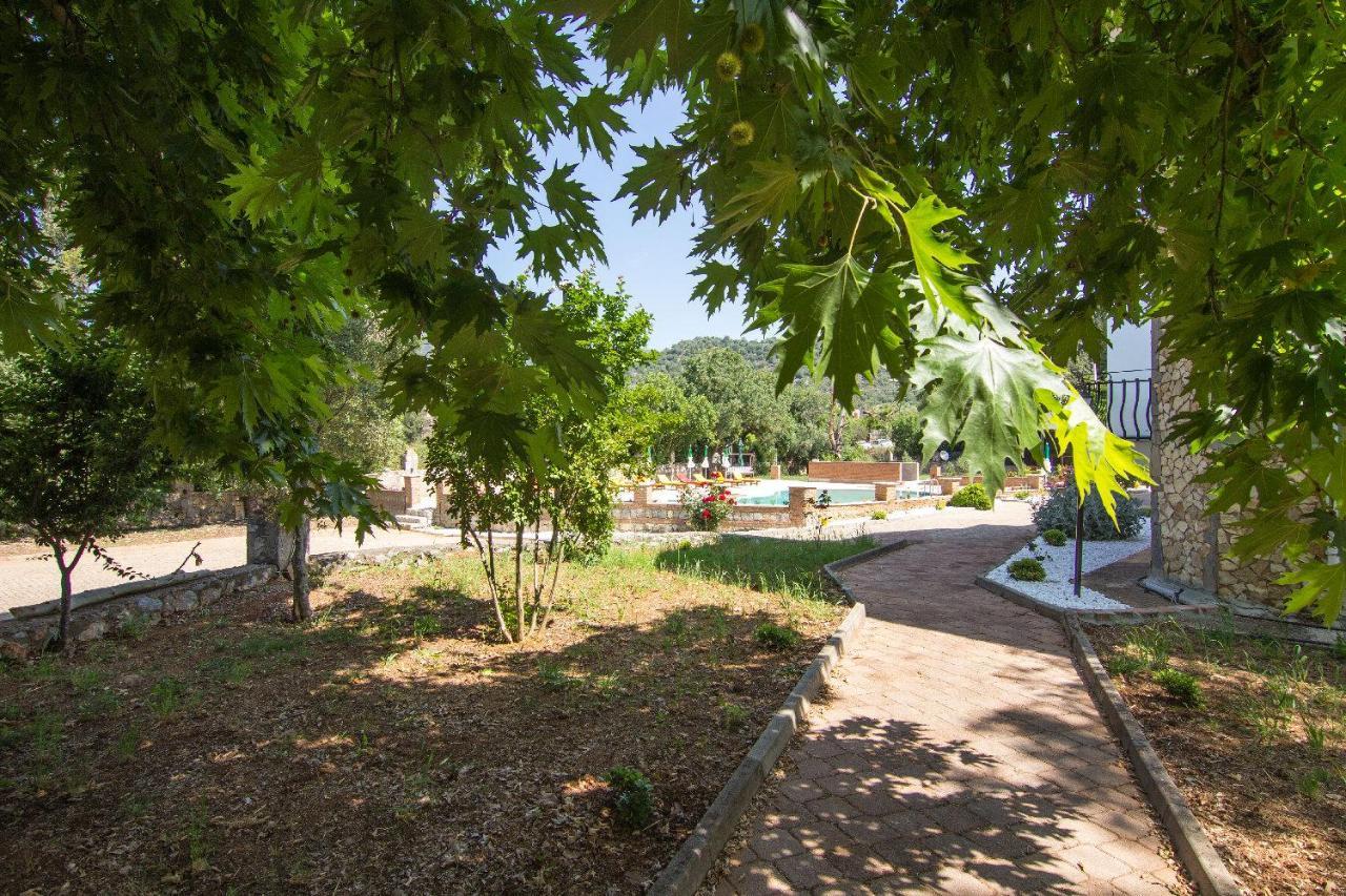 Yesilkaya Hotel Kayakoy Eksteriør billede